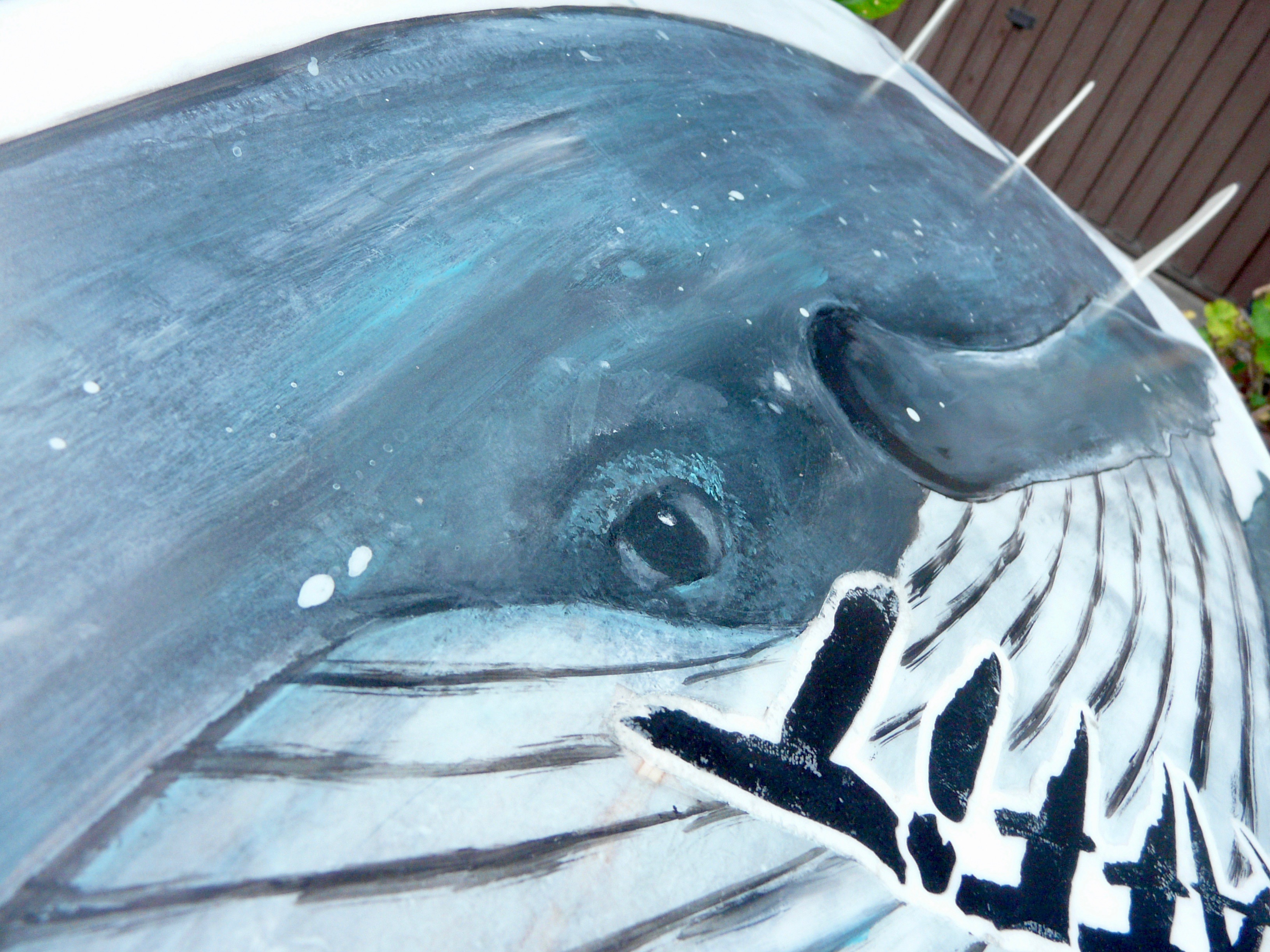 Tabla surf ballena detalle